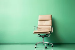 chaise de bureau ergonomique 2024