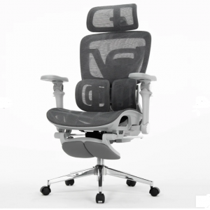 ERGOELITE - Siège ergonomique - Livraison et expédition en Afrique